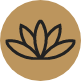 Agave