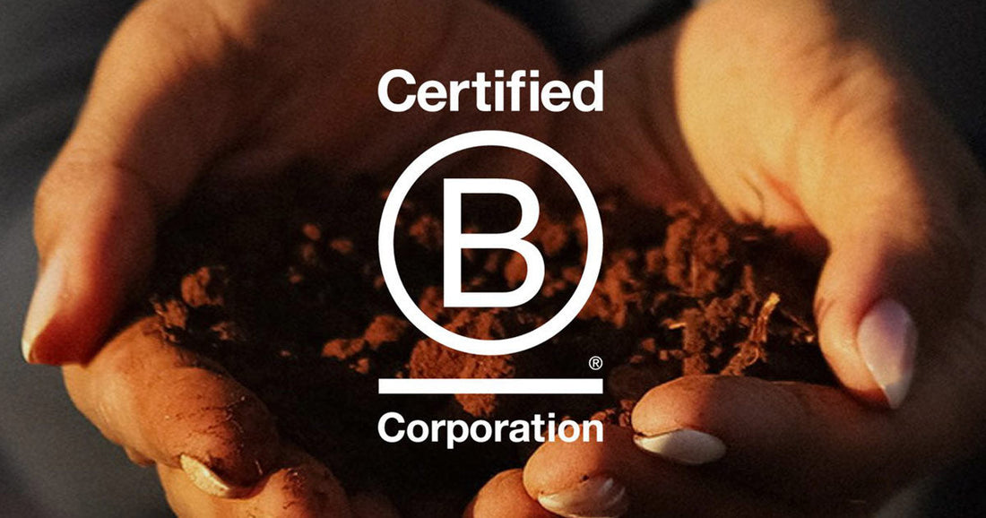 Mijenta Becomes the First Tequila to Receive B Corp Certification