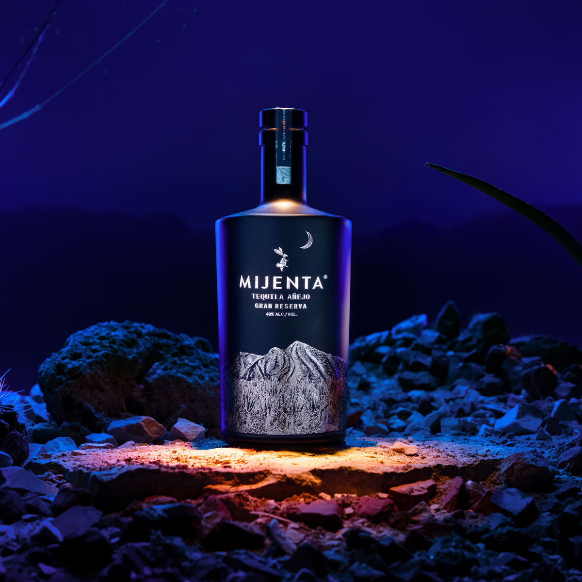 Mijenta Añejo
