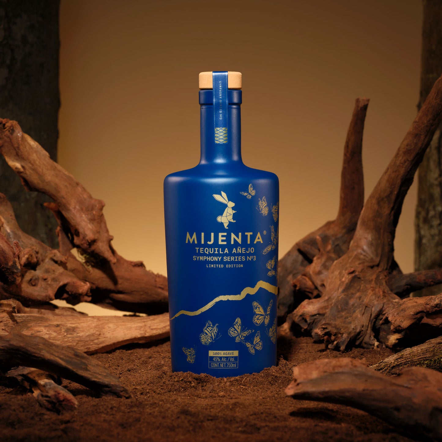 Symphony Series No. 3