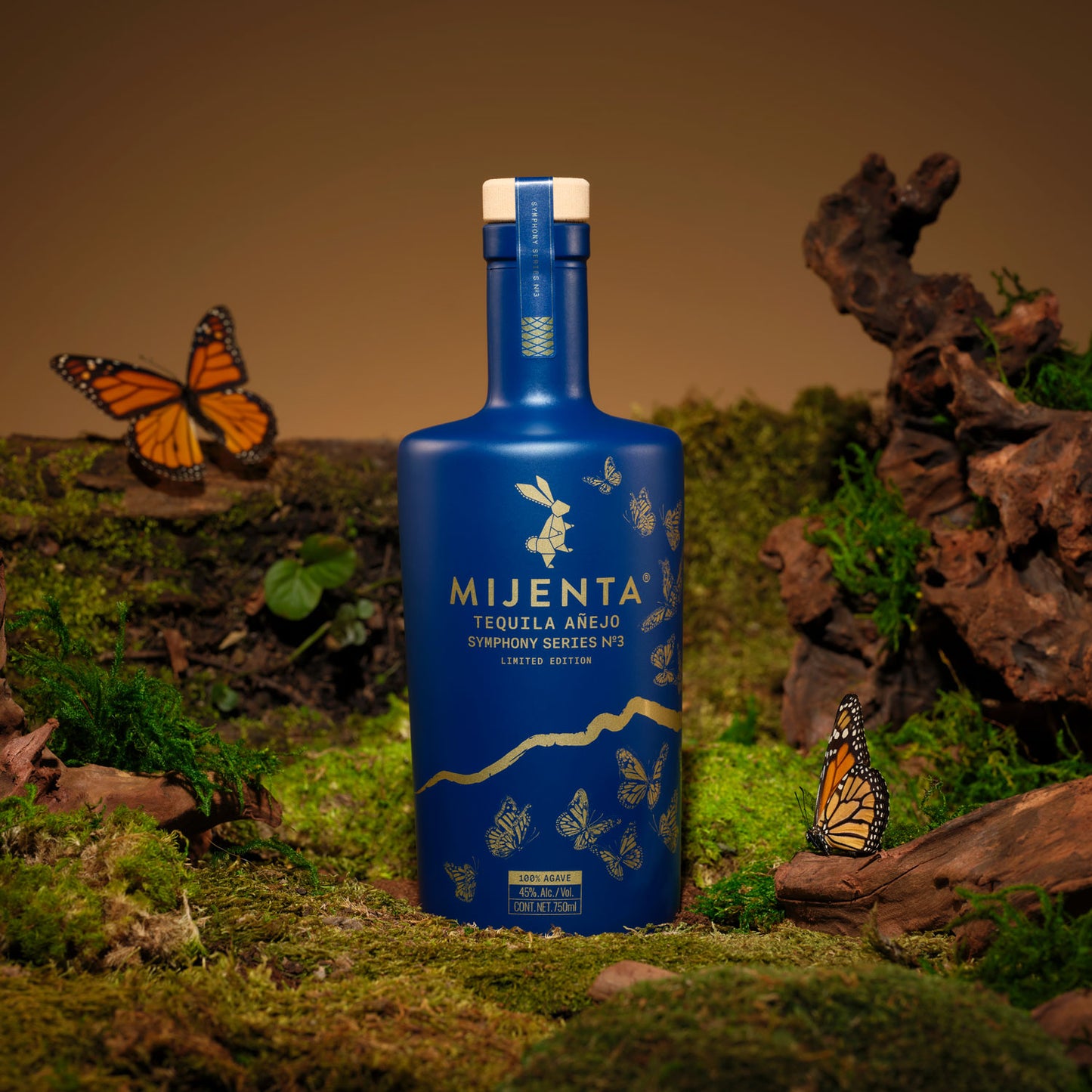 Symphony Series No. 3